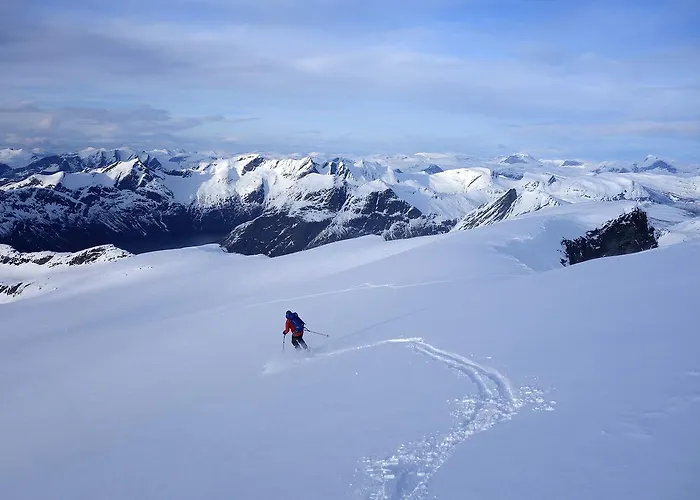 Semesteranläggning (resort) Manshausen Island